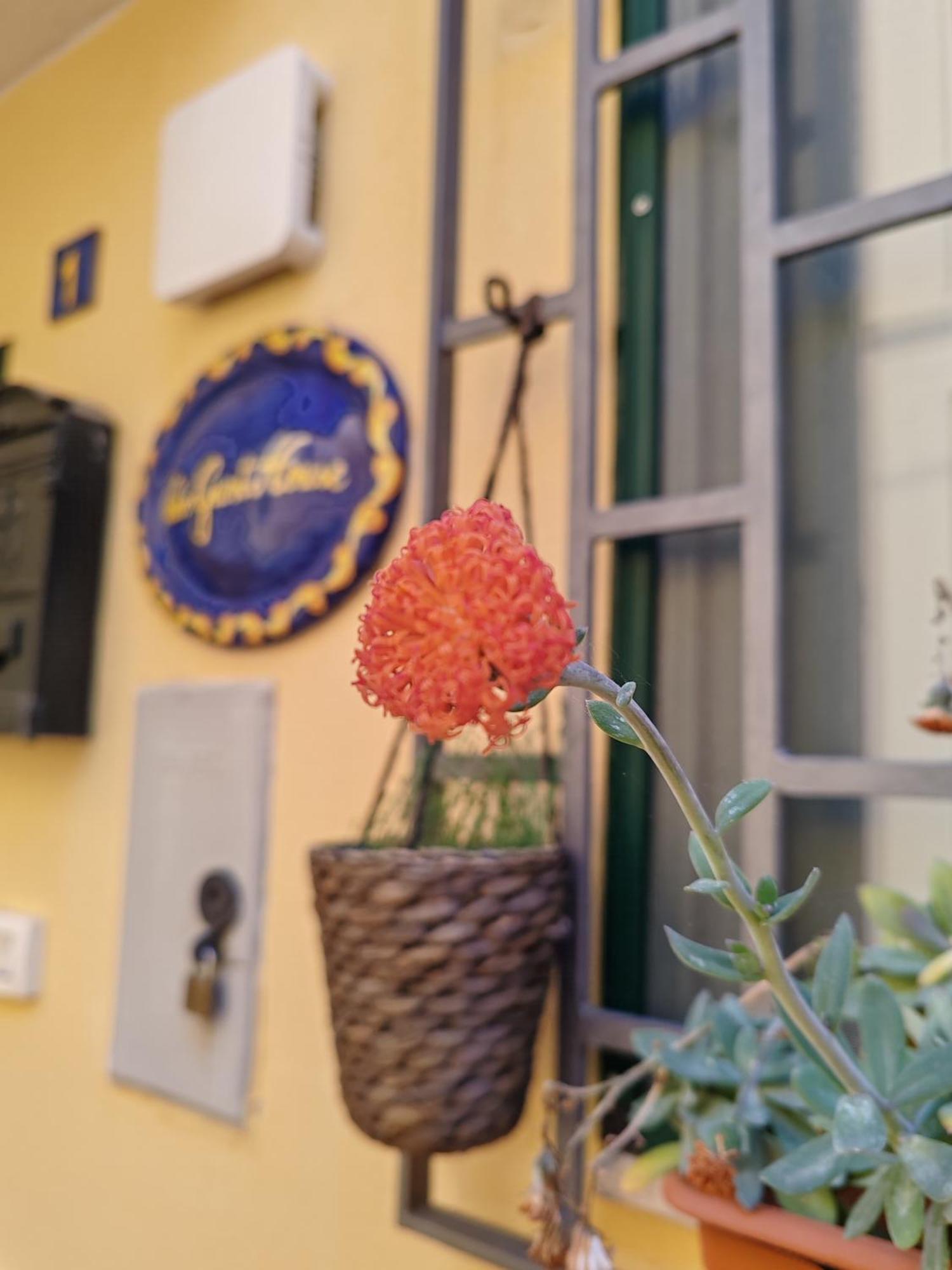 Apartament Smart House Ingresso Indipendente- Amalfi Coast Salerno Zewnętrze zdjęcie